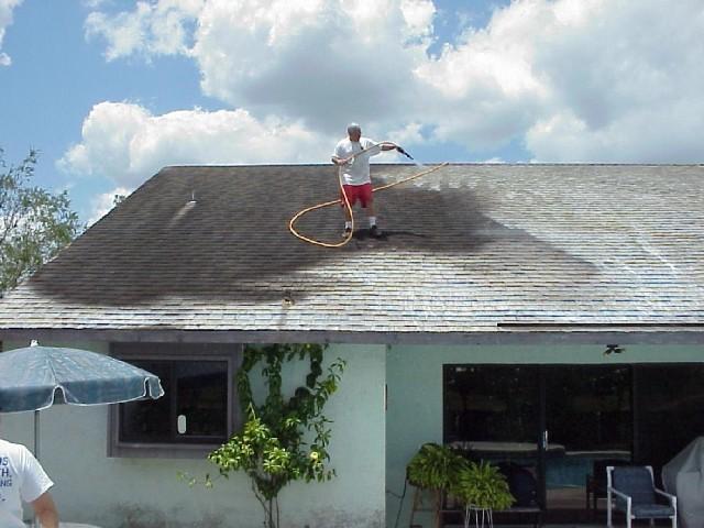 Roof Cleaning