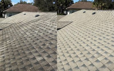 Why Safe Roof Cleaning Matters in Tampa: Protect Your Roof from Algae, Mold & Costly Damage
