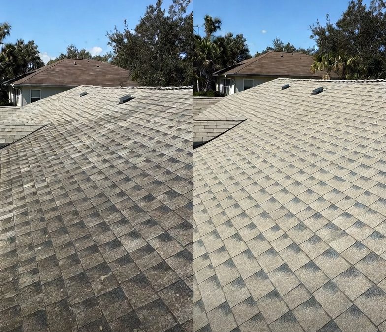 Roof Cleaning Tampa