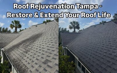 Roof Rejuvenation Tampa: Restore & Extend the Life of Your Aging Roof