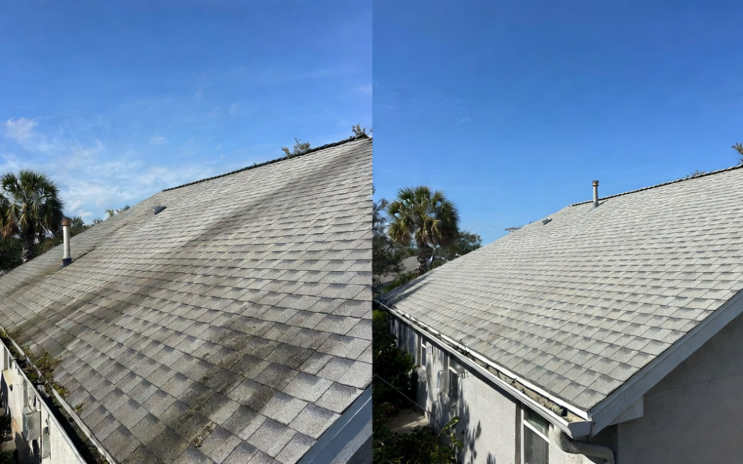 Tampa Roof Rejuvenation